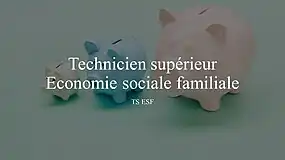 Technicien supérieur Economie sociale familiale