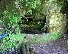 La fontaine du Teil, gorges du Tarn.