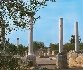 Basilique paléochrétienne de San Leucio à Canosa di Puglia.