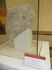 Dans une vitrine de musée, sur un portoir blanc un morceau de pierre gravé et sculpté.