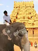 Éléphant du temple et son cornac