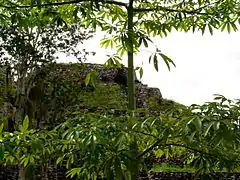 Temple Pyramide à Chacchoben vu depuis le chemin touristique