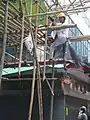 Montage d'un échafaudage de bambou, Hong Kong.