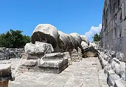 Colonne effondrée, temple d'Apollon (Didymes).