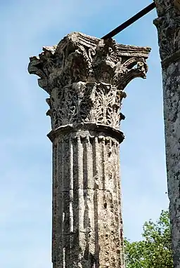 Temple romain de Château-Bas.