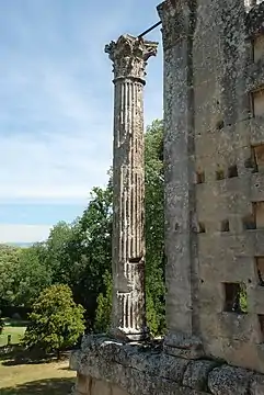 Colonne corinthienne.