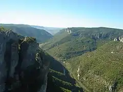 Gorges de la Dourbie près Millau, Aveyron.