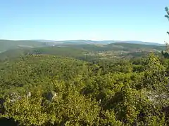 Vue d'une forêt des Grands Causses depuis la falaise du Pompidou sur le Grand Trail des Templiers 2014