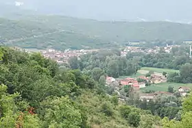 Tenovo