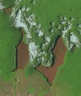 Image satellite des tepuys Yuruaní (en haut à gauche), Kukenan (à gauche), Roraima (centre droit) et Wei-Assipu (à droite).