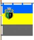 Drapeau de Ternivka