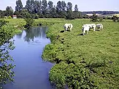 La Ternoise à Blangy-sur-Ternoise