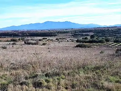 Au premier plan : topographie peu accidentée typique de la commune, dans la vallée de la Canterrane (terrasses fluviales quaternaires et alluvions, reposant sur des dépôts continentaux pliocènes). En arrière-plan : le massif des Albères.