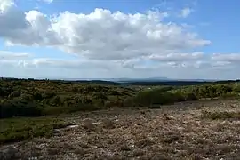 L'arrière-pays nîmois.