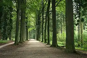 Image illustrative de l’article Arboretum de Tervuren