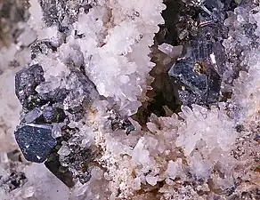 Tétraédrite sur quartz - Kapnik - Roumanie (XX 6mm)