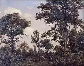 Le Grand chêne, forêt de Fontainebleau, 1839,musée d'art de Saint-Louis.