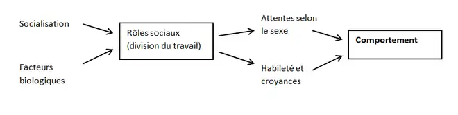 Théorie des rôles sociaux (Eagly, 1987)