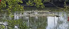 Photographie en couleurs de deux massifs de maçonnerie au milieu d'un cours d'eau.