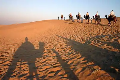 Promenade dans le désert du Thar, près de Jaisalmer.