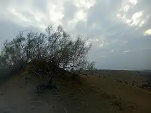 Temps nuageux sur le désert au Pakistan en mars 2019.