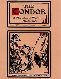 Image illustrative de l’article The Condor
