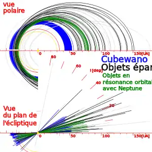 Ceinture de Kuiper et objets épars : orbites typiques des cubewanos (en bleu), des twotinos et autres résonances (en vert), des objets épars (en noir).