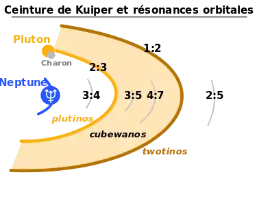 Titre : "Ceinture de Kuiper et résonances orbitales". Neptune est indiquée puis des arcs concentriques s'éloigne de celle-ci, avec successivement la résonance 3:4, la 2:3 (plutinos dont Pluton), la 3:5, la 4:7, la 1:2 (twotinos) puis 2:5.