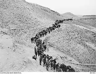 La 1re brigade légère montée australienne descendant vers Jéricho.