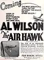 The Air Hawk (1924)