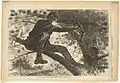 « Un sharp-shooter en piquet ». Gravure (comme celle de gauche) de Winslow Homer (1862).
