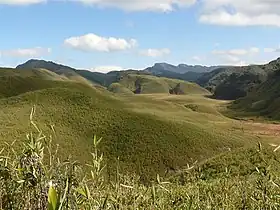 La Vallée de Dzukou, à cheval sur la frontière avec le Nagaland, est une zone de trekking très célèbre dans la région.