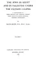 Les Juifs en Egypte et en Palestine sous les califes fatimides par Jacob Mann, 1920