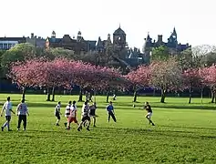 Match de rugby dans le parc.