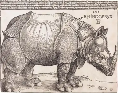 Albrecht Dürer, Le Rhinocéros. 1515. Gravure sur bois, H. 23,5 cm. Washington, National Gallery of Art.