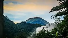 Vue du mont Apo en 2015.