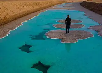 Lac salé, sur le territoire des Bani Yas, dans la محمية_الوثبة_للأراضي_الرطبة (ar), dans la région Al Bihouth aux émirats. Mai 2021.