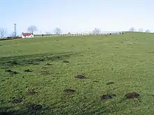 Photo d'une colline basse couverte d'herbe verte et jonchée de taupinières, avec une petite maison et une barrière blanche à l'horizon