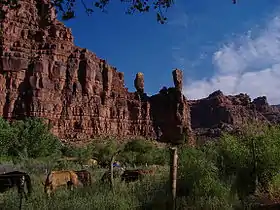 Supai (Arizona)