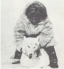Chasseur Inuk ayant tué un loup en 1914 au Groenland. Image tirée du livre The Wolves of North America, Vol. I. d'Edward Alphonso Goldman, paru en 1944.