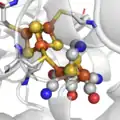 Le site actif des hydrogénases "NiFer".