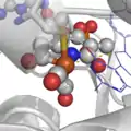 Le site actif des hydrogénases à Fer.