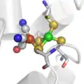 Le site actif des hydrogénases "FerFer".