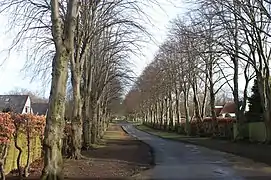 L'avenue des Arbres menant au Corstorphine Hill Cemetery