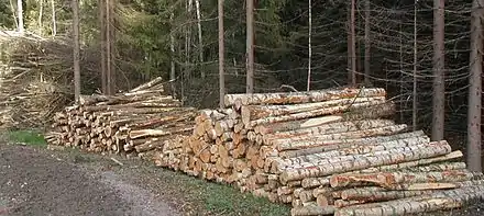 Billes de bois