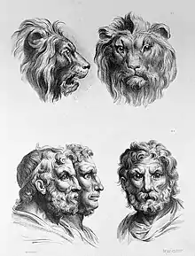 Dessin lithographique illustratif de la relation entre la physionomie humaine et celle de la création de brute, de Charles Le Brun (1619-1690).