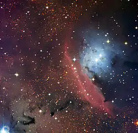 Image illustrative de l’article NGC 6559