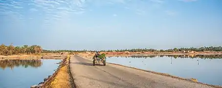 Accès à l'oasis de Siwa.