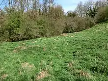 Vue d'un terrain en demi-cercle avec des arbres à l'arrière-plan