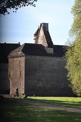 Vieux château de Thenissey